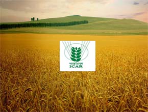 website designing company